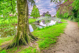 Serene park path with white bridge and large tree