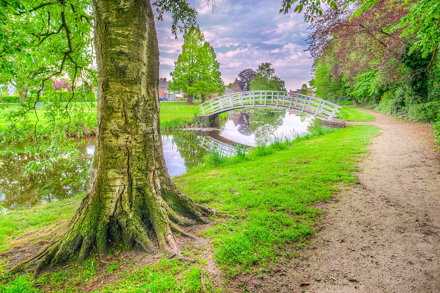 Serene park path with white bridge and large tree