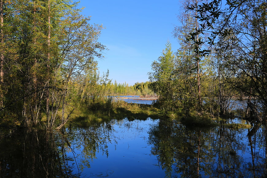 Serene River Reflection in Forest with Blue Sky