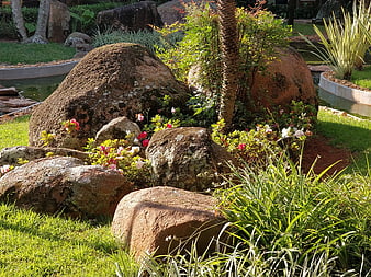 Sunny garden landscape with large rocks and flowers