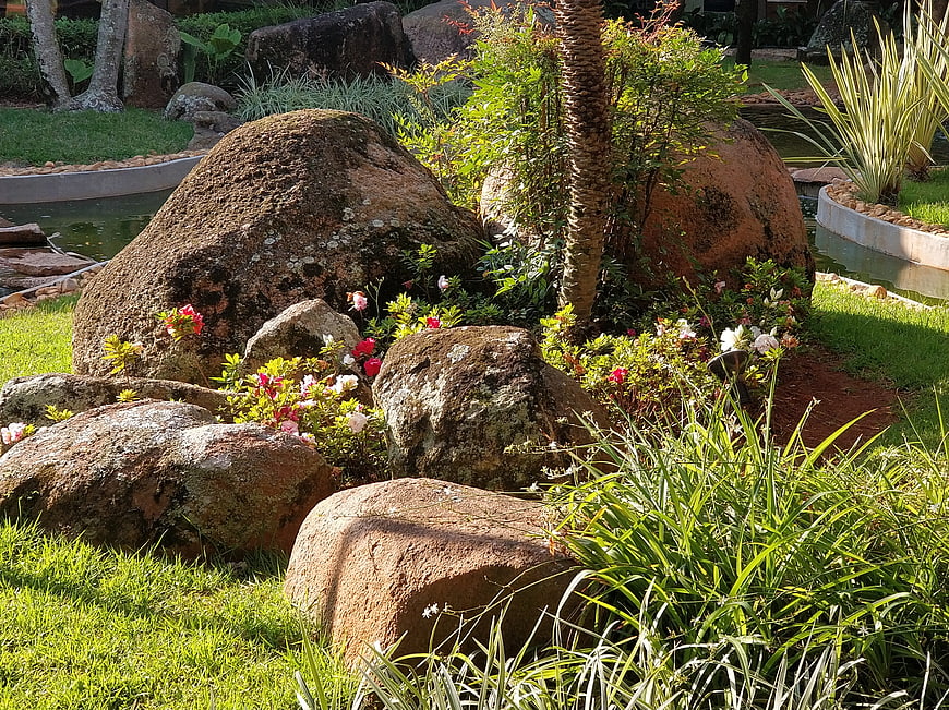 Sunny garden landscape with large rocks and flowers