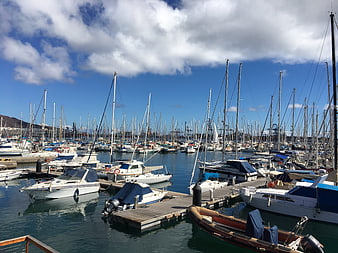Busy marina with sailboats and yachts under blue sky