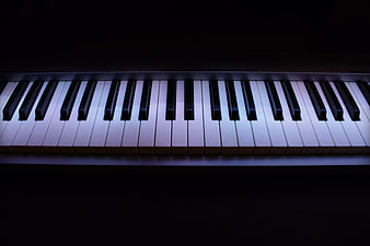 Illuminated Piano Keys Against Dark Background