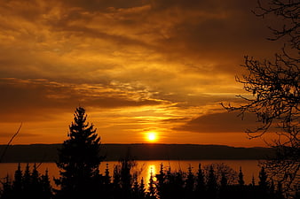 Dramatic Orange Sunset Over Lake with Silhouetted Pine Trees