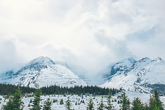 Snowy Mountain Peaks with Pine Trees and Clouds
