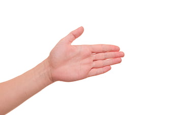 Open Hand Gesture on White Background