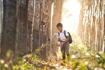Schoolboy Playing with Dog in Sunlit Forest