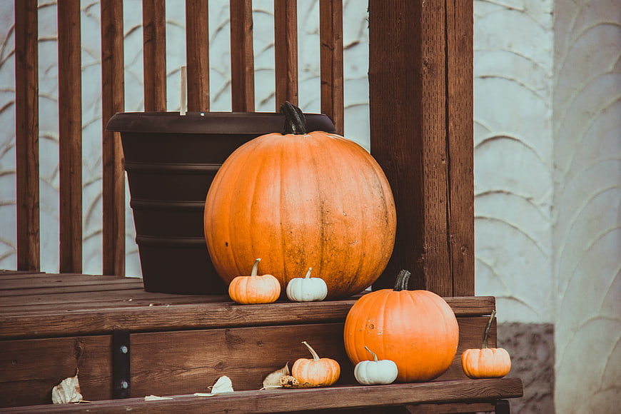 Autumn pumpkins on wooden porch steps