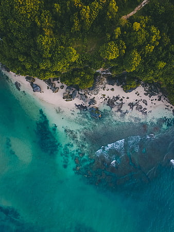 Aerial View of Tropical Beach with Turquoise Water and Forest