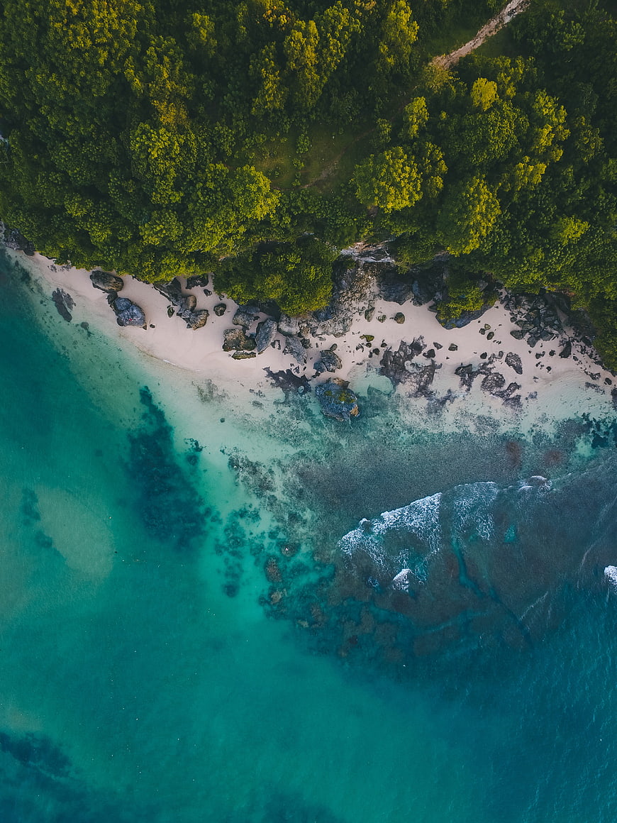 Aerial View of Tropical Beach with Turquoise Water and Forest