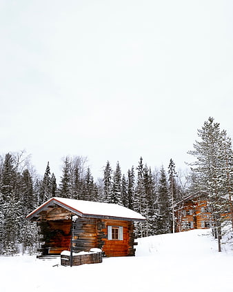 Rustic wooden cabin in snowy winter forest landscape
