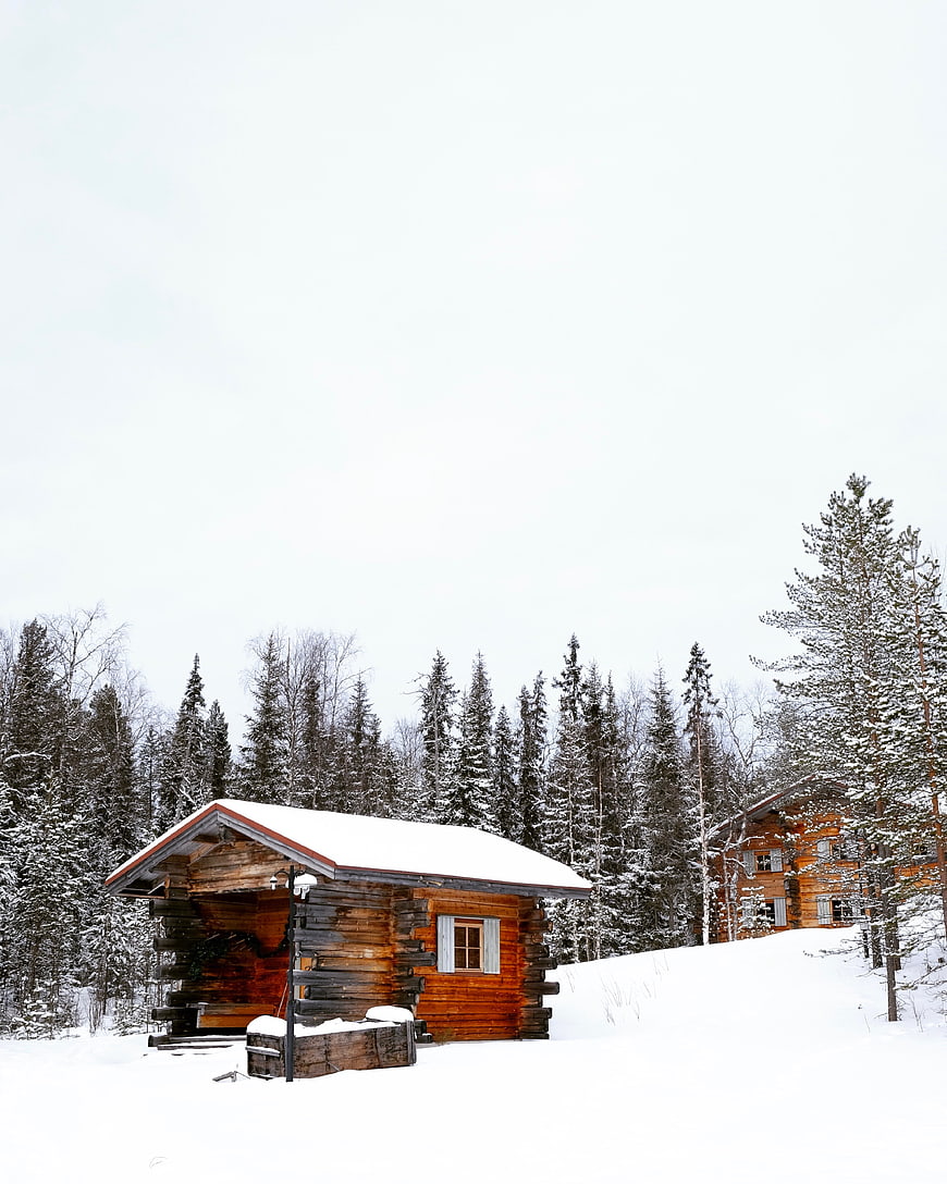 Rustic wooden cabin in snowy winter forest landscape