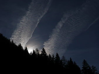 Silhouetted forest against dramatic contrails and moonlit sky