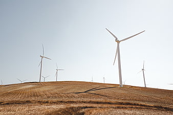 Wind Turbines on Golden Hillside Under Clear Blue Sky