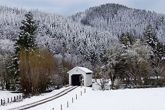 Snowy Covered Bridge in Winter Forest Landscape