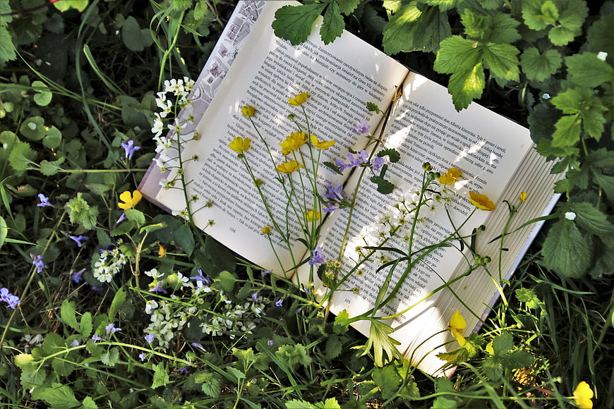 Open book with wildflowers in grassy garden