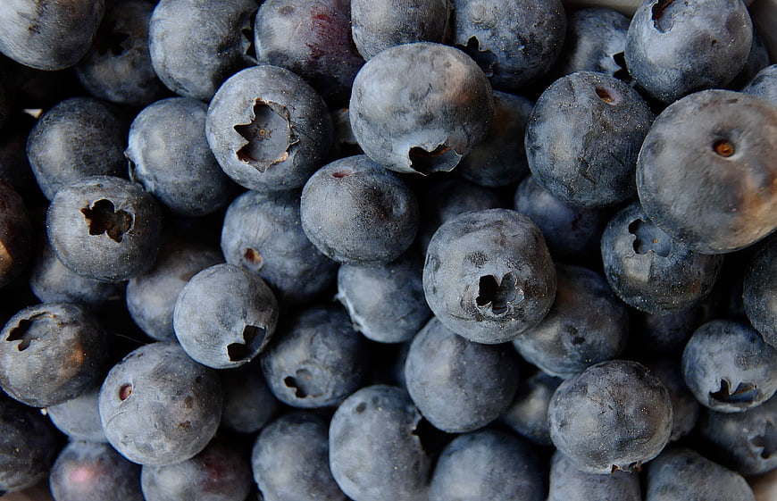 Close-up of fresh blueberries with natural bloom texture