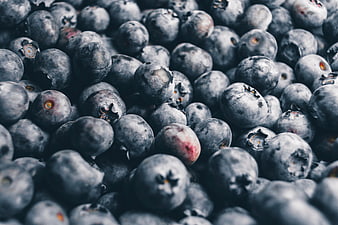 Close-up of fresh blueberries with natural texture