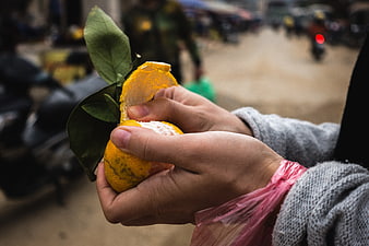 Close-up of hands peeling a fresh tangerine with leaves