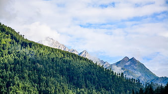 Majestic Mountain Landscape with Forest and Clouds