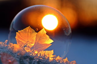 Frozen soap bubble with frost crystals and golden sunset light