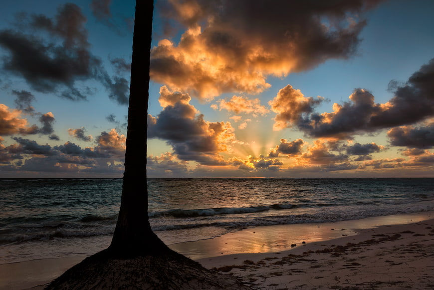 Dramatic Tropical Sunset with Palm Tree Silhouette on Beach