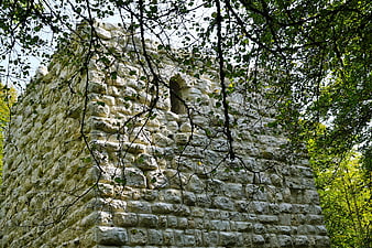 Ancient Stone Castle Ruin Surrounded by Forest Trees