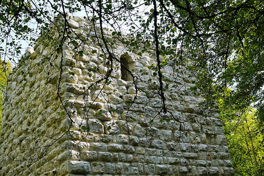 Ancient Stone Castle Ruin Surrounded by Forest Trees