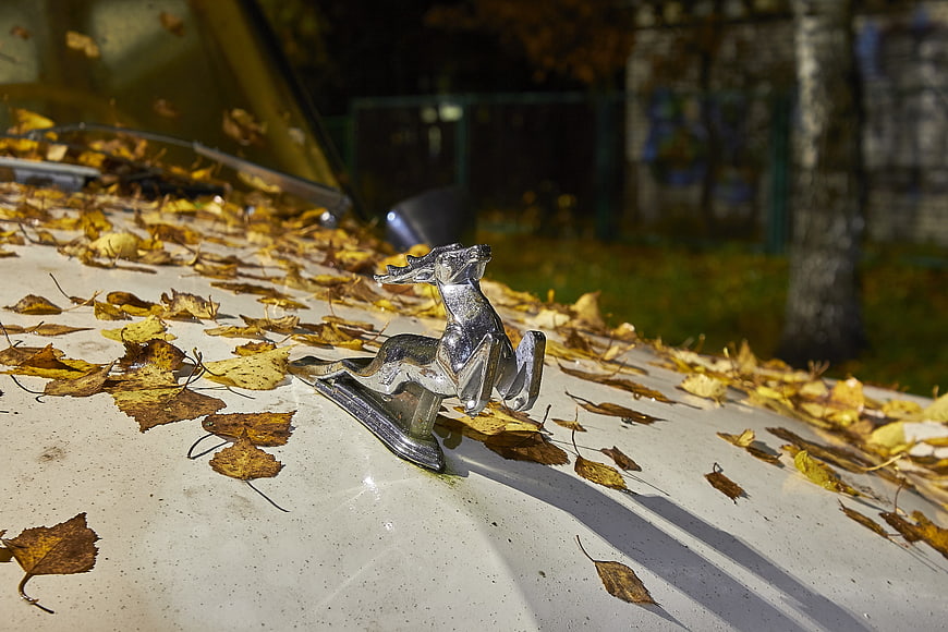 Vintage Car Hood Ornament with Autumn Leaves