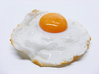 Fried Egg on White Background