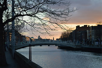 Silhouette of bare tree branches over canal bridge at sunset