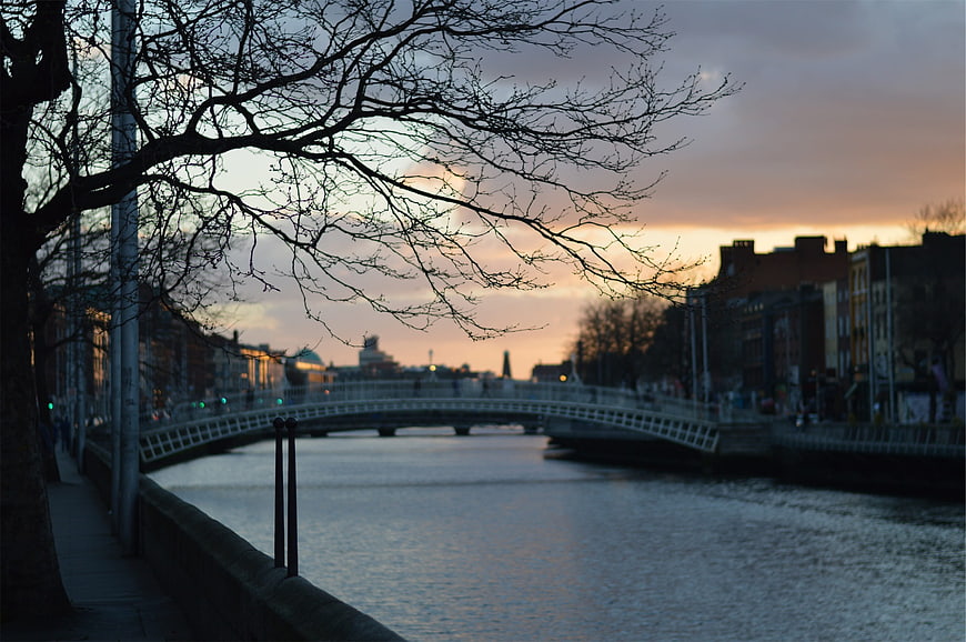 Silhouette of bare tree branches over canal bridge at sunset