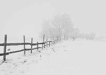 Snowy Winter Landscape with Wooden Fence and Bare Trees