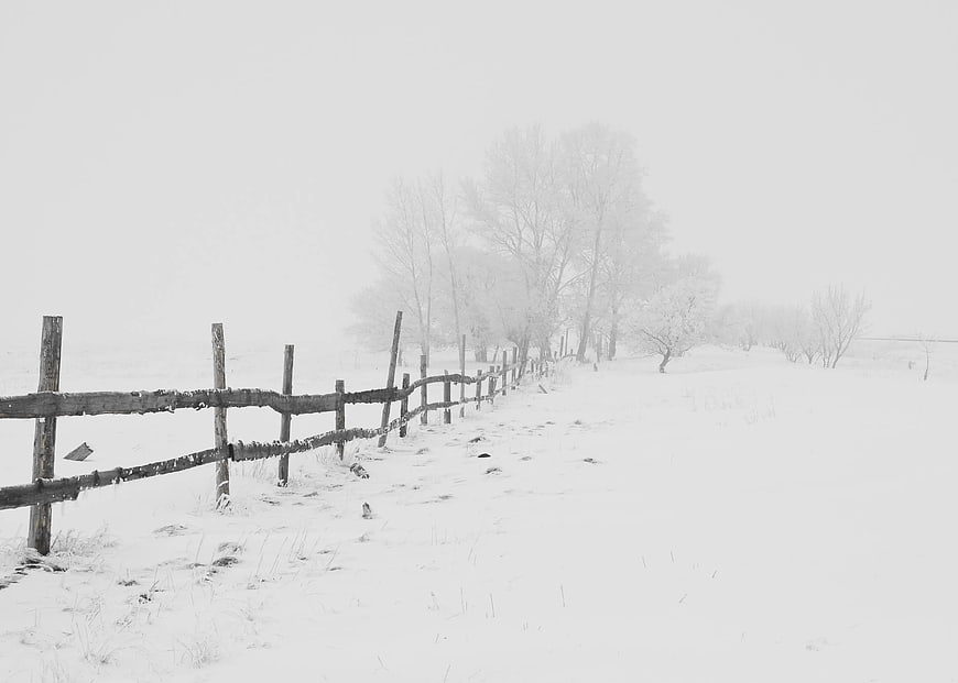 Snowy Winter Landscape with Wooden Fence and Bare Trees