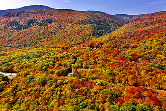 Aerial View of Vibrant Autumn Foliage on Mountain Slopes