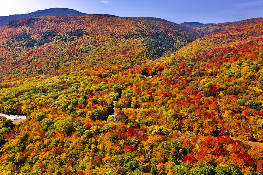 Aerial View of Vibrant Autumn Foliage on Mountain Slopes