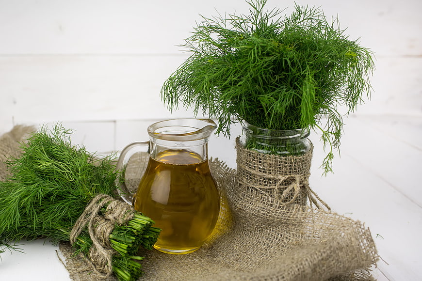Fresh dill herb bundles and golden olive oil in rustic glass pitcher