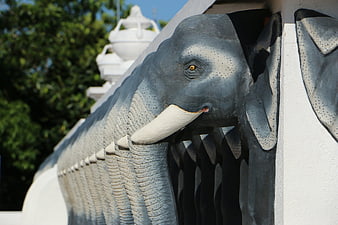 Grey Elephant Statues on White Temple Wall