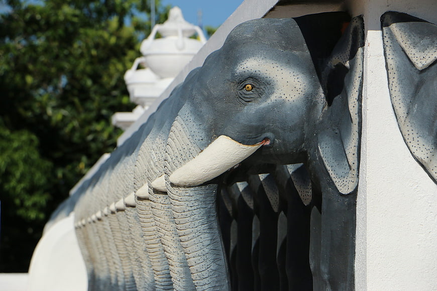 Grey Elephant Statues on White Temple Wall
