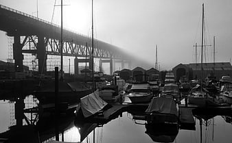 Silhouetted boats in foggy marina under large bridge