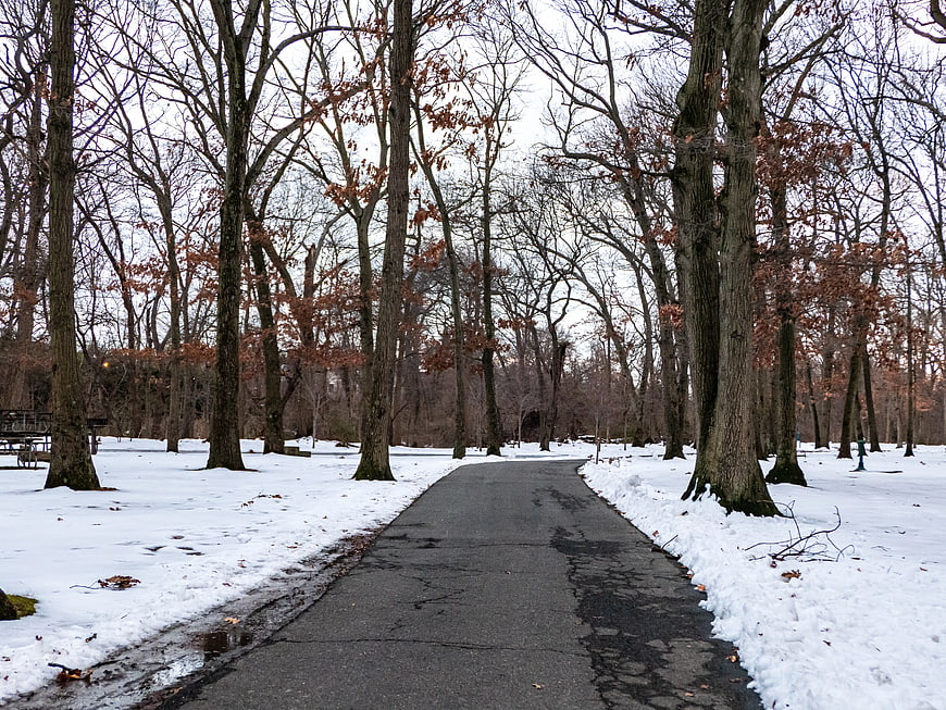 Paved Path Through Snowy Winter Park with Bare Trees