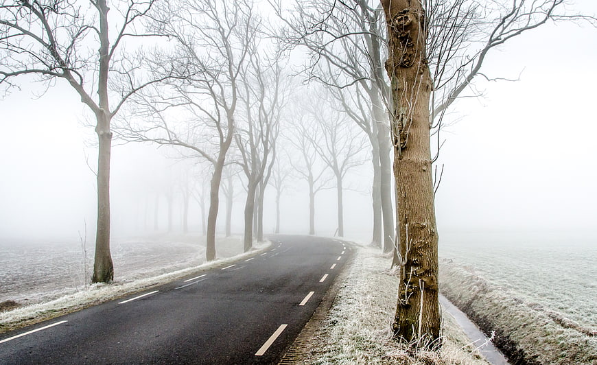 Foggy Winter Road with Bare Trees and Frost