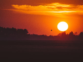 Vibrant Orange Sunset Over Silhouetted Forest and Field