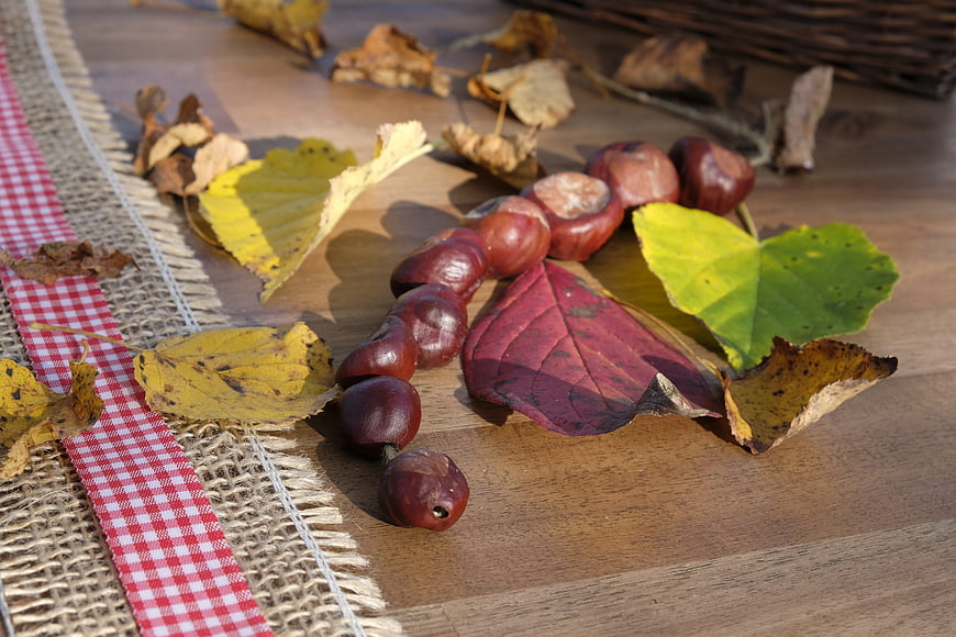 Autumn chestnuts and colorful leaves on wooden table