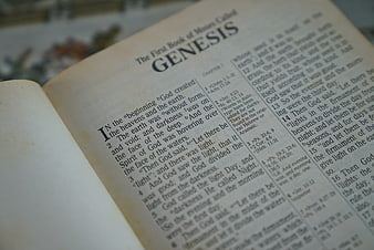 Close-up of open Bible showing Genesis chapter one text