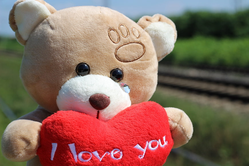 Crying Teddy Bear Holding Red Heart with I Love You Text