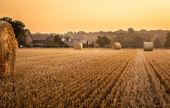 Golden Harvest Field With Straw Bales And Farmhouse At Sunset