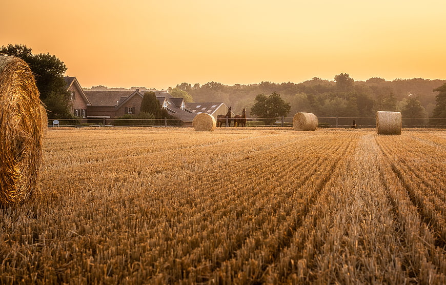 Golden Harvest Field With Straw Bales And Farmhouse At Sunset