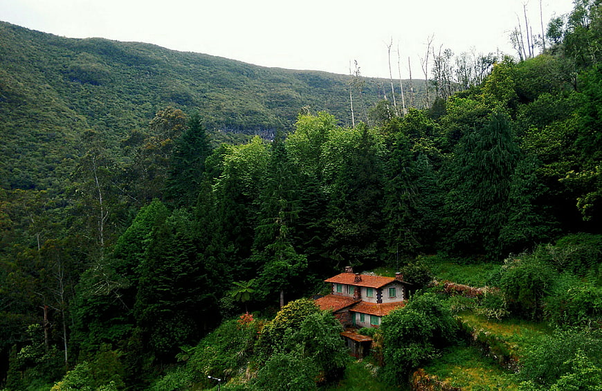 Secluded house nestled in lush green mountain forest