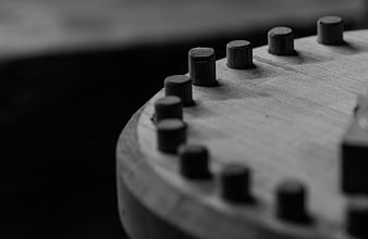 Close-up of wooden gear teeth in black and white